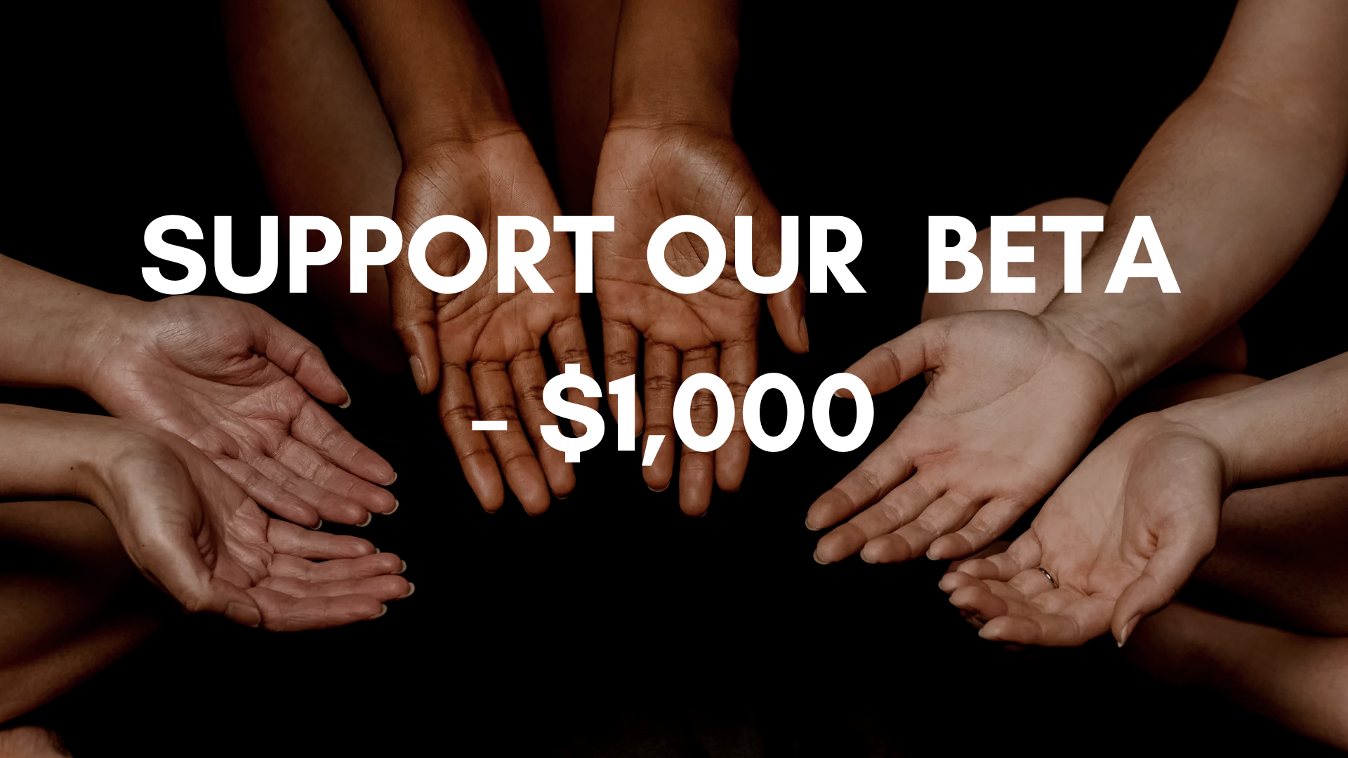 Support FreshNi Beta - $1,000